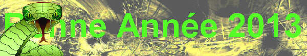 Bonne année 2013 Bonne année 2013