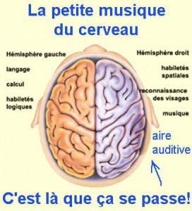 La petite musique du cerveau, dopée par le MMM